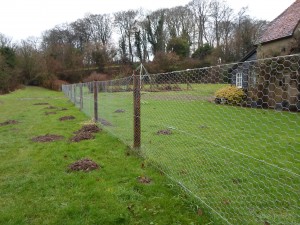 Rabbit Fencing Tichborne Garden Maintenance Landscaping Alresford Hinton Ampner Bishops Sutton Four Marks West Meon Bramdean Kilmeston Ropley Winchester