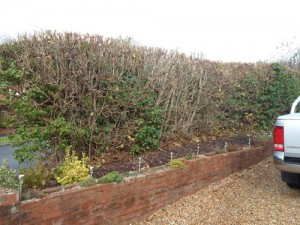 Hedge Cutting Four Marks Fencing Garden Maintenance Logs Landscaping Alresford Hinton Ampner Bishops Sutton West Meon Bramdean Kilmeston Ropley Winchester