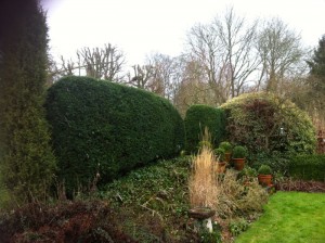 Hedge Cutting Old Alresford Four Marks Fencing Garden Maintenance Logs Landscaping Alresford Hinton Ampner Bishops Sutton West Meon Bramdean Kilmeston Ropley Winchester