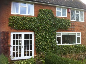 Hedge Cutting Old Alresford Four Marks Fencing Garden Maintenance Logs Landscaping Alresford Hinton Ampner Bishops Sutton West Meon Bramdean Kilmeston Ropley Winchester