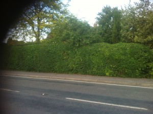 Hedge Cutting Old Alresford