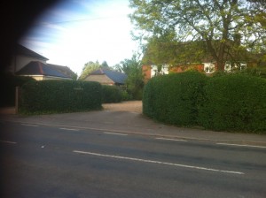 Hedge Cutting Old Alresford
