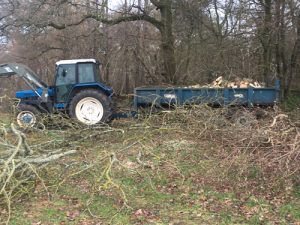 Fence Clearing Cheriton Hampshire Alresford Four Marks Fencing Landscaping Alresford Hinton Ampner Four Marks West Meon Bramdean Kilmeston Ropley Winchester