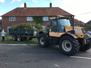 Remove Hedge and Erect Close Board Fence Alresford - Fencing Alresford Hinton Ampner Four Marks West Meon Bramdean Ropley Winchester