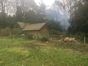 Tree Clearing Ropley Hampshire - Landscaping Alresford Hinton Ampner Four Marks West Meon Bramdean Kilmeston Ropley Winchester